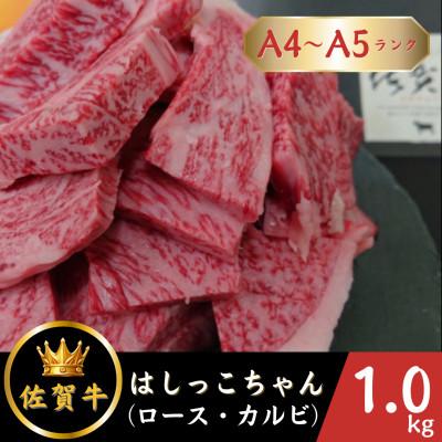 ふるさと納税 江北町 佐賀牛 はしっこちゃん &lt;ロース カルビ&gt; 計1kg(500g×2パック)(江北町)