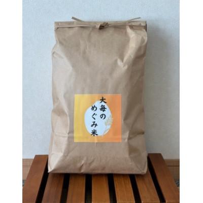 ふるさと納税 村上市 [令和7年産米]精米 新潟県村上市産 コシヒカリ「大毎のめぐみ米」5kg 1093003