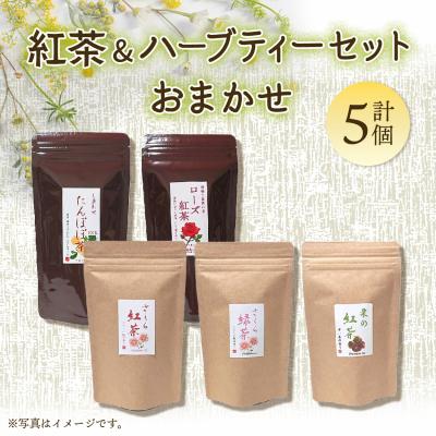 ふるさと納税 石岡市 紅茶&amp;ハーブティーセット おまかせ計5個