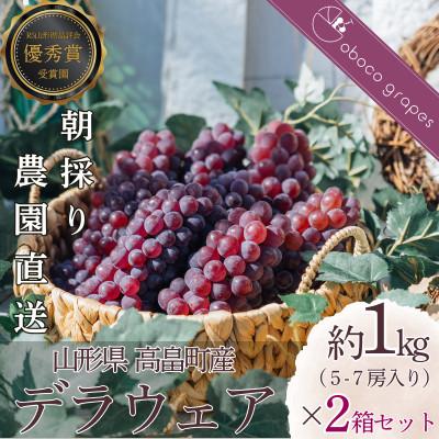 ふるさと納税 高畠町 [2箱セット[約1kg(5〜7房)×2箱]]甘さはじける!デラウェア
