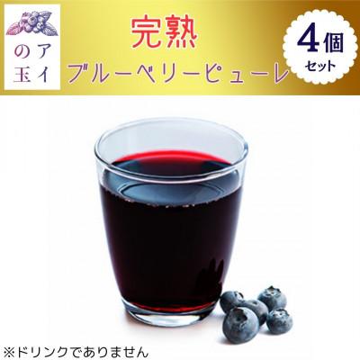 ふるさと納税 小美玉市 [アイの玉]完熟ブルーベリー100%ピューレ(4個セット)73-F