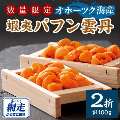 ふるさと納税 網走市 先行予約・旬の蝦夷バフン雲丹2折セット50g×2折・冷蔵便届け