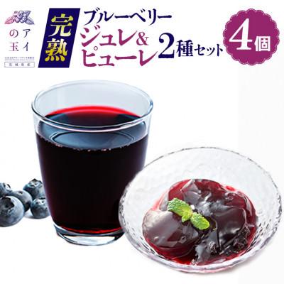 ふるさと納税 小美玉市 [アイの玉]完熟ブルーベリージュレ&amp;ピューレ2種セット(4個)73-G