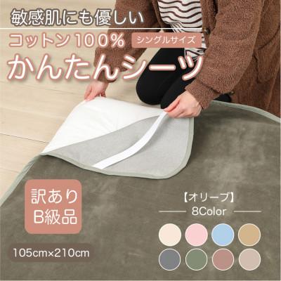 ふるさと納税 橋本市 【訳あり】シーツ 敷毛布 かんたんシーツ