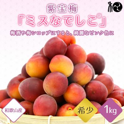 ふるさと納税 田辺市 [2025年分先行予約]紫宝梅『ミスなでしこ(R)』[青梅:1kg][ngm009]