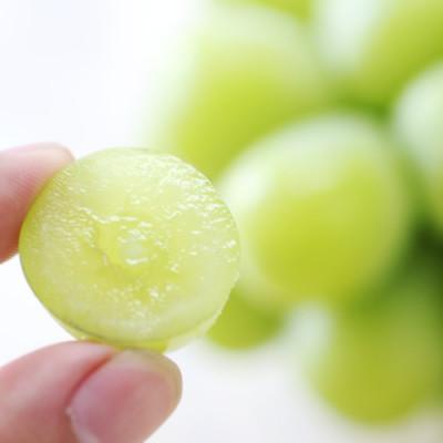 ふるさと納税 飯田市 【氷温貯蔵】長野県産・シャインマスカット(約2kg)秀品の画像