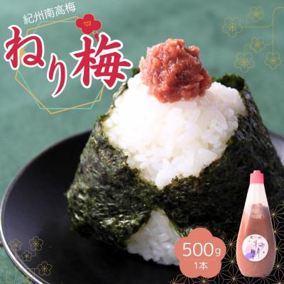 ふるさと納税 田辺市 ねり梅500g(1本)[ktk030]