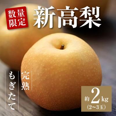 ふるさと納税 三豊市 [10月より順次発送]数量限定!平和農園 新高梨 小箱(2〜3玉)[約2kg]