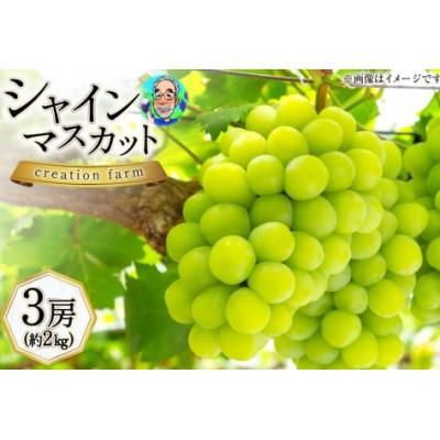 ふるさと納税 韮崎市 [先行受付]山梨県産 高級シャインマスカット 3房(約2kg)