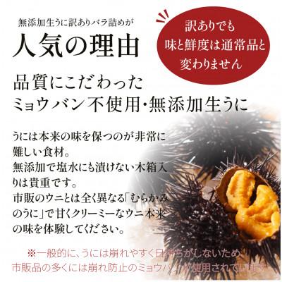 ふるさと納税 北斗市 「うにむらかみ」無添加生うに　訳ありバラ詰め　100g |  | 02