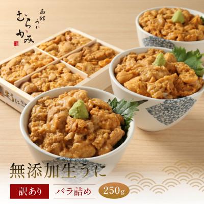 ふるさと納税 北斗市 「うにむらかみ」無添加生うに 訳ありバラ詰め 250g