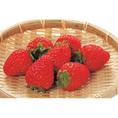 ふるさと納税 海南市 [ご家庭用(簡易包装)]和歌山県産まりひめ 1箱(2パック入り)[2026年1月より順次発送]