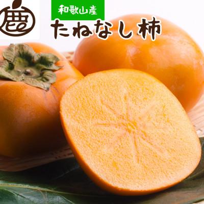 ふるさと納税 かつらぎ町 &lt;10月より発送&gt;厳選たねなし柿5kg[刀根早生・平核無柿(ひらたねなしかき)][カキ・種無柿]