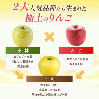ふるさと納税 青森市 【10月から発送予定】訳あり 青森りんご トキ 約10kg ふじと王林の良いところ取り |  | 01