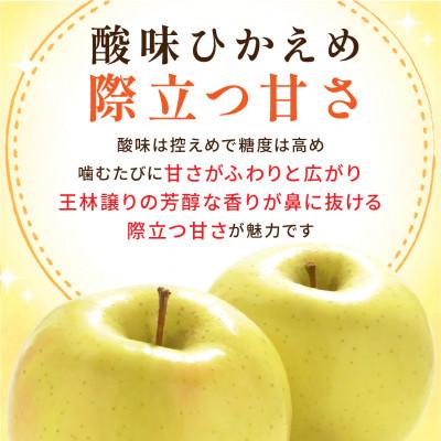 ふるさと納税 青森市 【10月から発送予定】訳あり 青森りんご トキ 約10kg ふじと王林の良いところ取り |  | 02