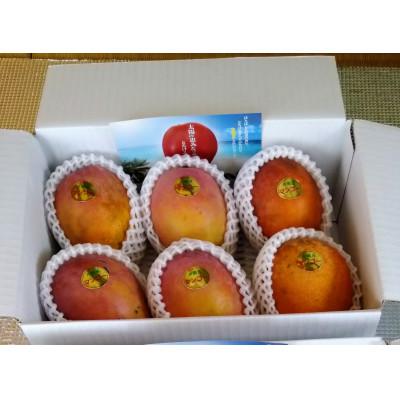 ふるさと納税 糸満市 [2026年発送]糸満市産 あらかき農園 家庭用 マンゴー 1.5kg 完熟 アーウィンマンゴー