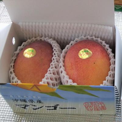 ふるさと納税 糸満市 [2026年発送]糸満市産 あらかき農園 家庭用 マンゴー 1kg 完熟 アップルマンゴー