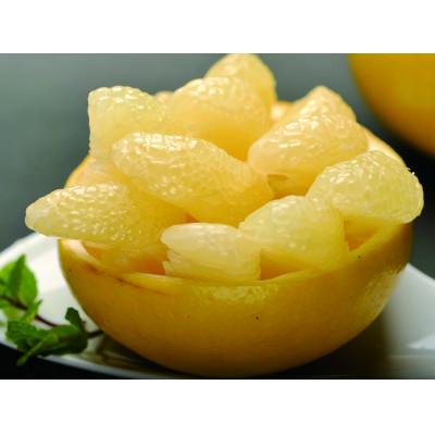 ふるさと納税 土佐市 [規格外品]三愛果樹園の土佐文旦約5kg(農家応援商品)