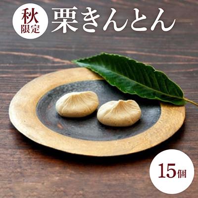 ふるさと納税 飯島町 [秋]栗きんとん15個入