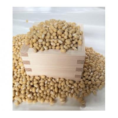 ふるさと納税 新見市 備中夢白小豆 大粒サイズ 1kg