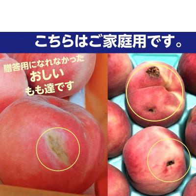 ふるさと納税 伊達市 伊達市産 家庭用 桃 約3kg 品種おまかせ(9〜14玉)の画像