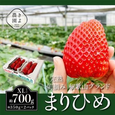 ふるさと納税 古座川町 先行受付 大粒まりひめイチゴ 朝摘 6個〜11個入×2パック