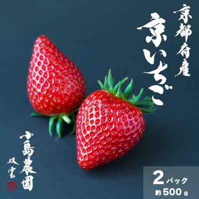 ふるさと納税 亀岡市 [予約受付]高級 京いちご 約250g×2パック[紅ほっぺ・おいCベリー・スターナイトから厳選]