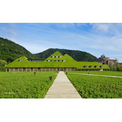 ふるさと納税 近江八幡市 【クラブハリエ】バームクーヘンmini6個入 シェアボックス 個包装 |  | 03