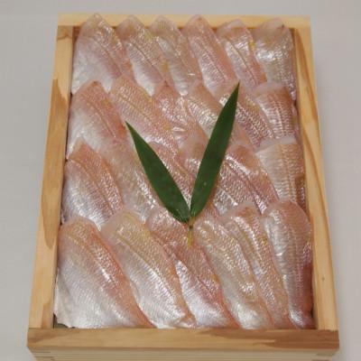 ふるさと納税 小浜市 お届けして直ぐご利用・中樽3.7個分の容量サイズ笹漬け・500g木箱入り・業務用サイズ