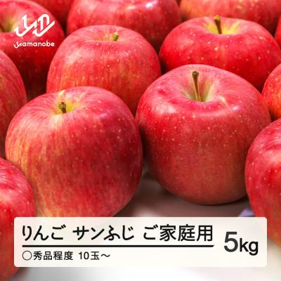 ふるさと納税 山辺町 先行予約 りんご サンふじ ご家庭用 ○秀品程度 約5kg 山形県産 tf-risfm5