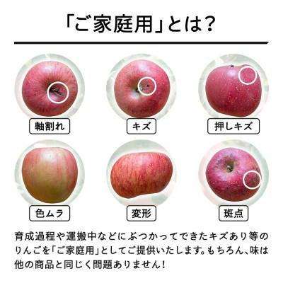 ふるさと納税 山辺町 先行予約 りんご サンふじ ご家庭用 約5kg 山形県産 tf-risfm5 |  | 01