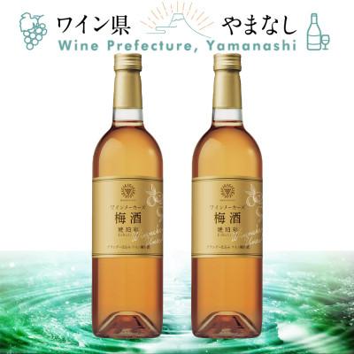 ふるさと納税 山梨県 マンズ ワイナリー ワインメーカーズ梅酒 琥珀彩 2本セット | 