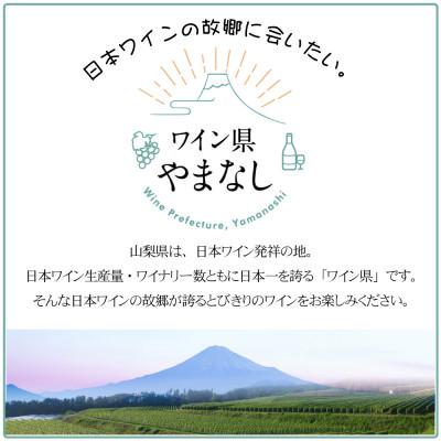ふるさと納税 山梨県 フレッシュ&フルーティー 甘口ワイン 4本セット |  | 03