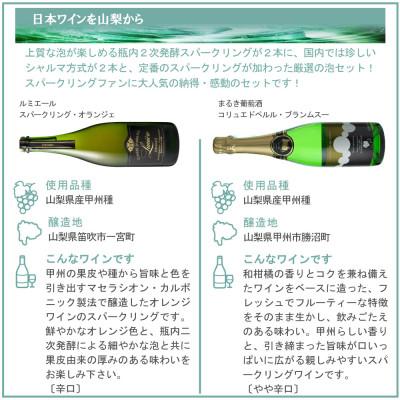 ふるさと納税 山梨県 上質な泡を山梨から スパークリングワイン 5本セット |  | 02