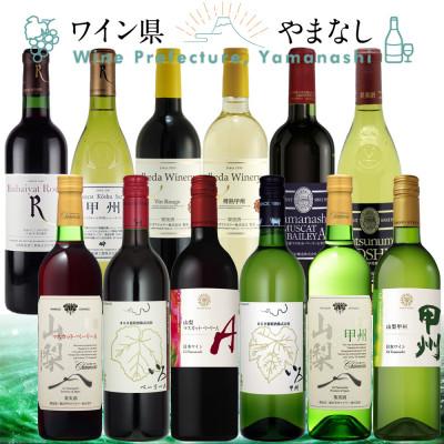ふるさと納税 山梨県 山梨ワイン 至極の12本セット | 