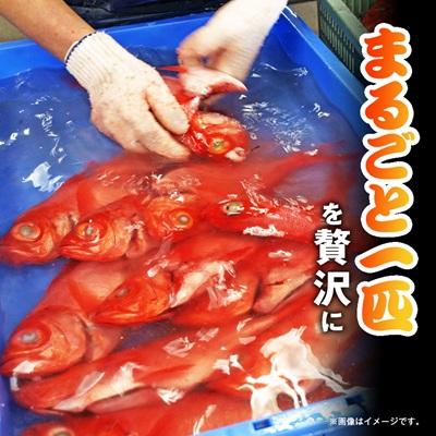 ふるさと納税 いすみ市 煮付け用金目鯛約400g×4尾入り |  | 02