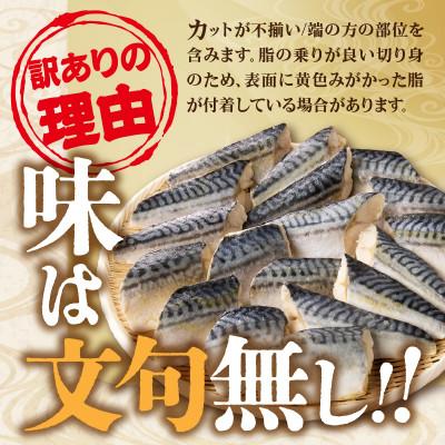ふるさと納税 飯塚市 【訳あり】骨取り 塩さば切り身  脂ののったノルウェーサバ 便利サイズの切身! 1.2kg(飯塚市) |  | 02