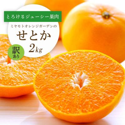 ふるさと納税 八幡浜市 [先行受付]とろける濃厚柑橘 せとか2kg 愛媛県八幡浜産[訳あり][C25-185]