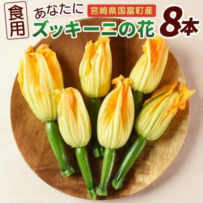 ふるさと納税 国富町 [あなたにズッキーニの花 8個]ヒダカファーム 宮崎県国富町