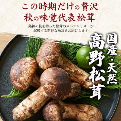 ふるさと納税 橋本市 国産 天然高野松茸 約300g 2026年出荷 : Yahoo