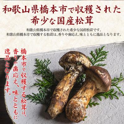 ふるさと納税 橋本市 国産　天然高野松茸　約300g 2026年出荷 |  | 02