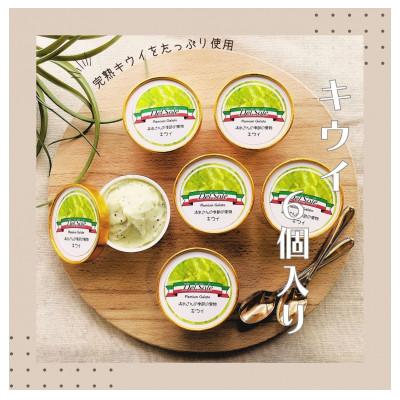 ふるさと納税 袋井市 デルソーレ ジェラート キウイ 6個セット