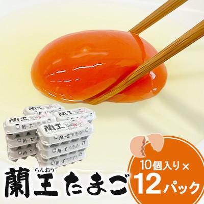 ふるさと納税 杵築市 蘭王たまご 10個入り12パック(杵築市)