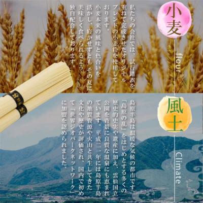 ふるさと納税 南島原市 島原手延べ素麺160束8kg 匠仕込みの本格手延べ |  | 02