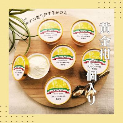 ふるさと納税 袋井市 デルソーレ ジェラート 黄金柑 6個セット