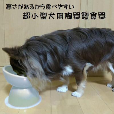 ふるさと納税 奈良市 ペット用食器 超小型犬種用 陶器製食器 アイボリーホワイト 9-055 53620