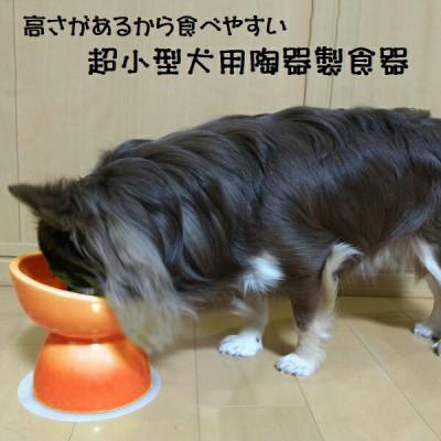 ふるさと納税 奈良市 ペット用食器 超小型犬種用 陶器製食器 オレンジ 9-056 53621