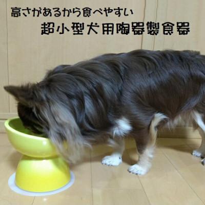 ふるさと納税 奈良市 ペット用食器 超小型犬種用 陶器製食器 イエロー 9-058 53623