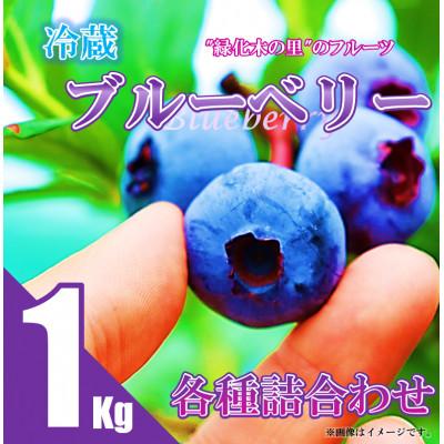 ふるさと納税 中島村 [先行予約/冷蔵]ブルーベリー1kg(各種詰合せ)
