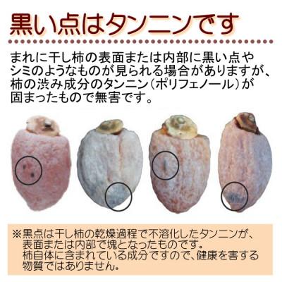 ふるさと納税 豊丘村 【南信州産】市田柿　家庭用　約170g×6袋 |  | 02